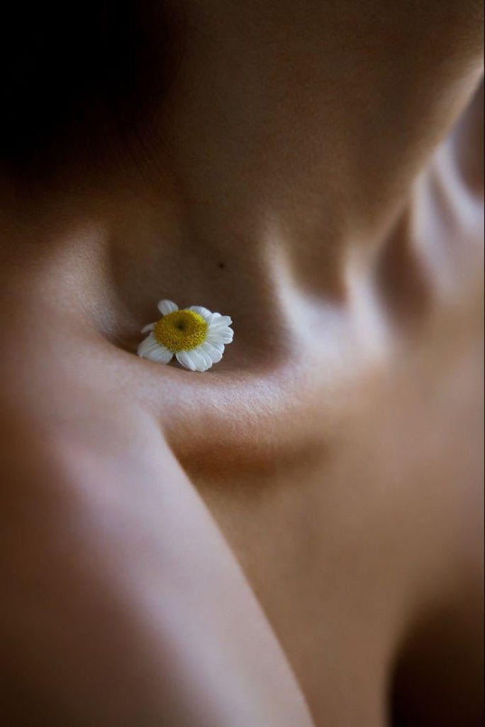 Spring Reset: How Acupuncture Supports Your Body’s Natural Detox