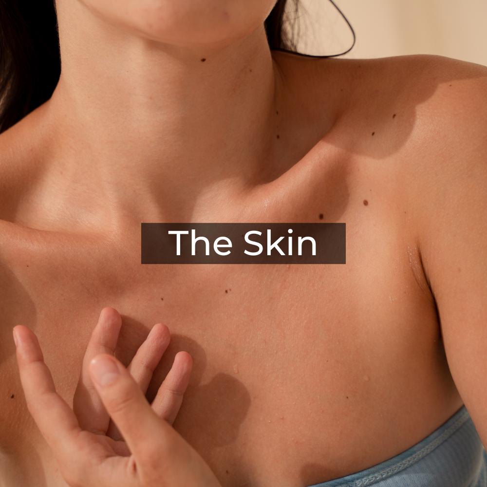 The Skin