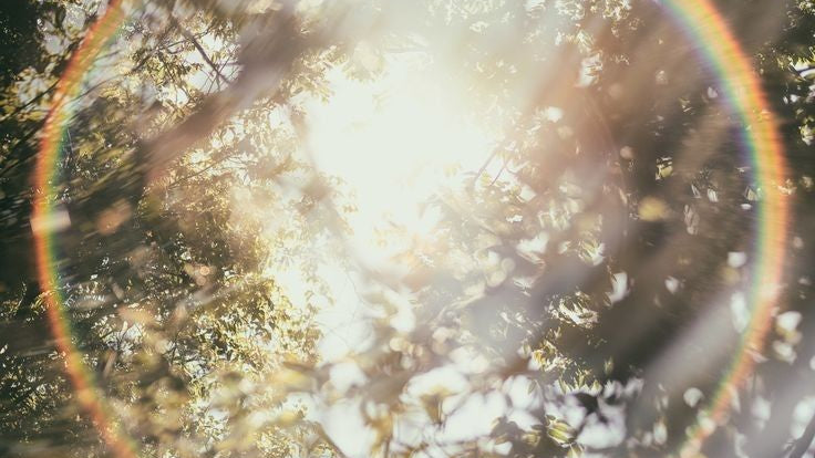 Ritualize Your Mornings with the Invocation of Love