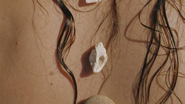Are You Ready to Awaken Your Inner Venus?
