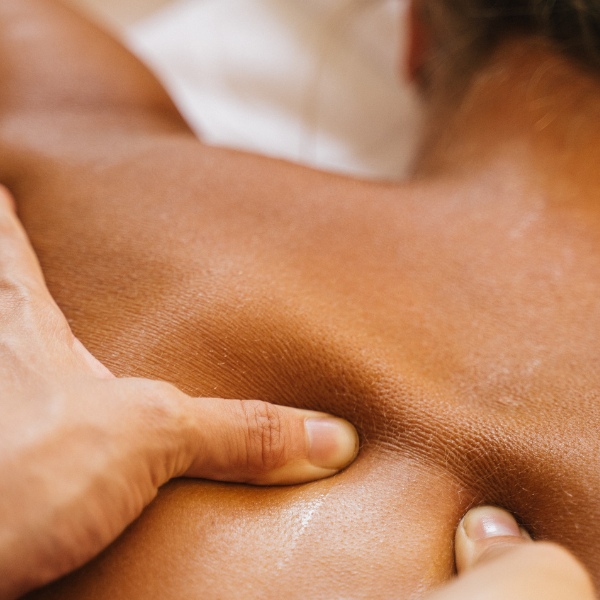Your Body’s Hidden Powerhouse, The Lymphatic System