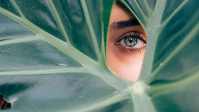 Working with a Naturopathic Doctor
