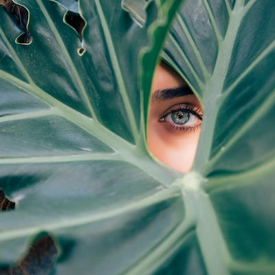 Working with a Naturopathic Doctor
