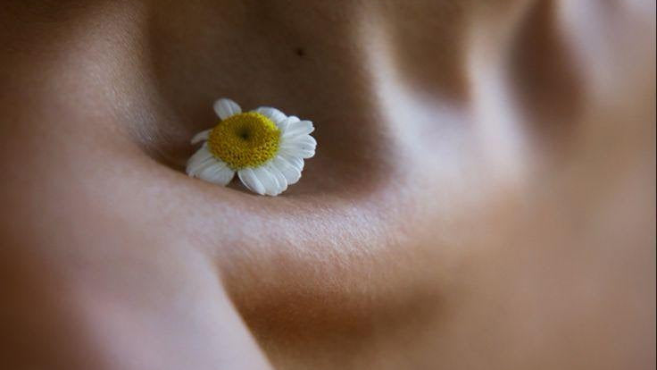 Spring Reset: How Acupuncture Supports Your Body’s Natural Detox