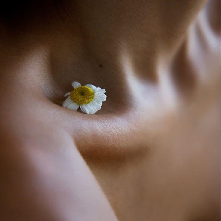 Spring Reset: How Acupuncture Supports Your Body’s Natural Detox